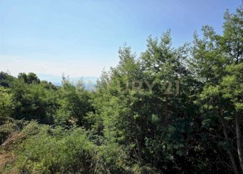 PHOTO-2025-07-04-18-18-42 (2).jpg - Casale LOCALITA CASETTE 0, Roccastrada - foto 10