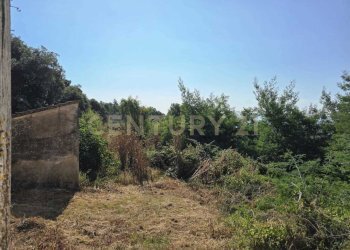 PHOTO-2025-07-04-18-18-43 (1).jpg - Casale LOCALITA CASETTE 0, Roccastrada - foto 2