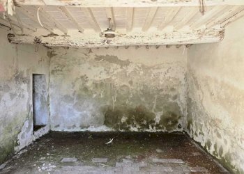 PHOTO-2025-07-04-18-18-43.jpg - Casale LOCALITA CASETTE 0, Roccastrada - foto 15