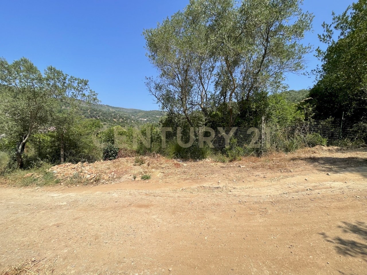 IMG_4059.jpg - Rustic località cannatelli snc, Monte Argentario - photo 1