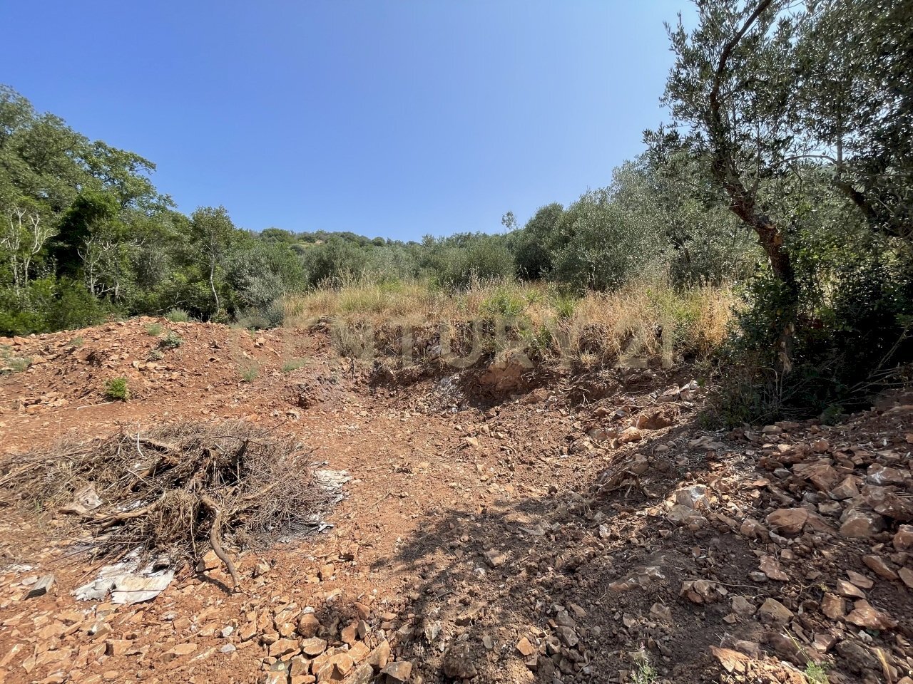 IMG_4057.jpg - Rustic località cannatelli snc, Monte Argentario - photo 2