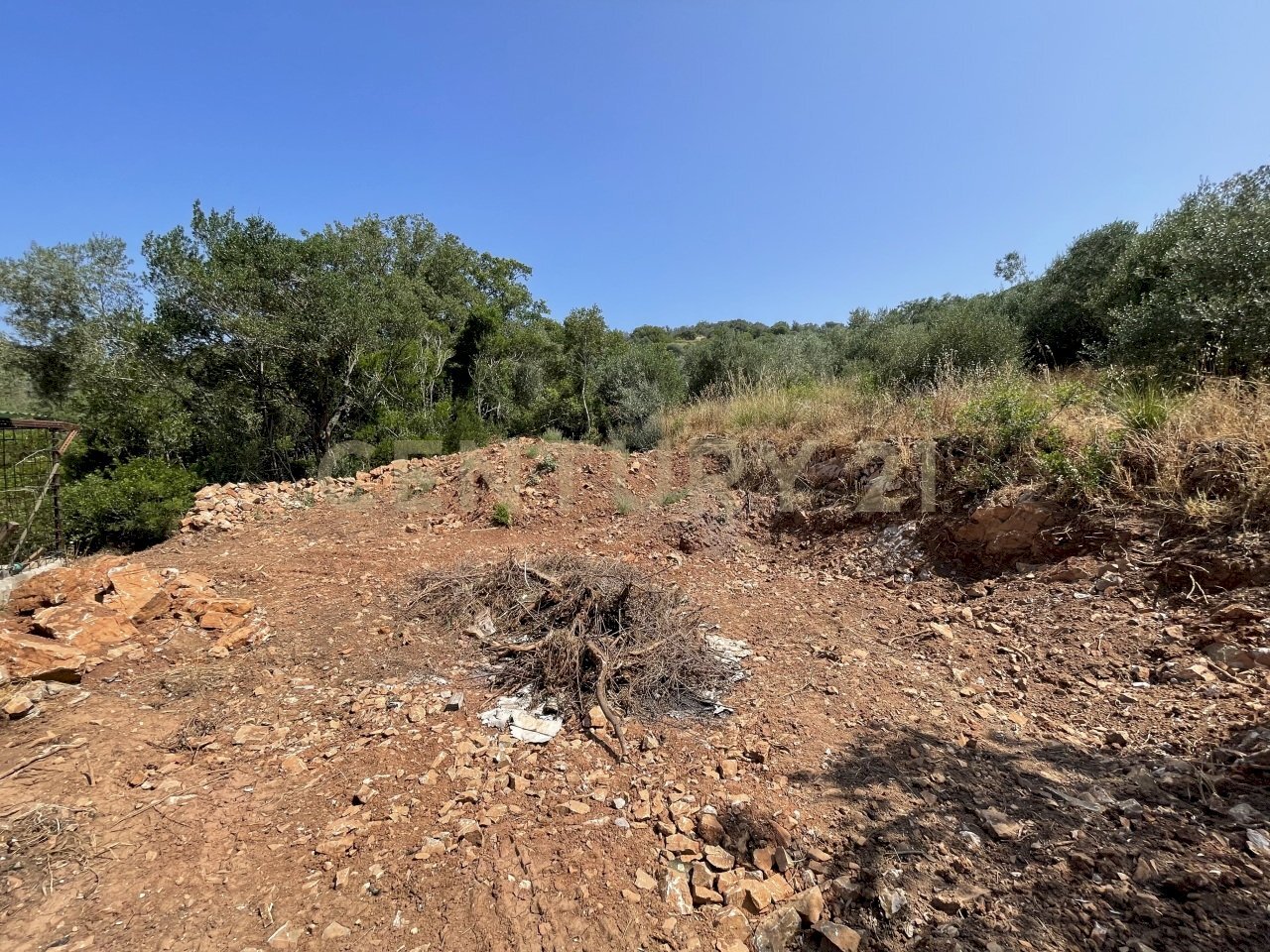 IMG_40562.jpg - Rustic località cannatelli snc, Monte Argentario - photo 3