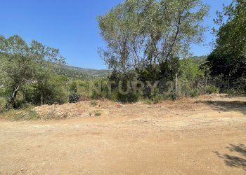 IMG_4059.jpg - Rustico località cannatelli snc, Monte Argentario - foto 1