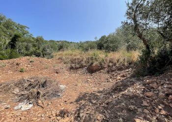 IMG_4057.jpg - Rustico località cannatelli snc, Monte Argentario - foto 2