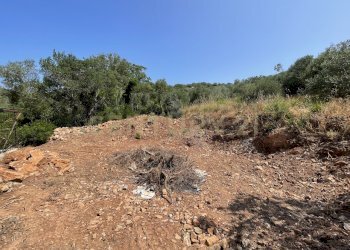 IMG_40562.jpg - Rustico località cannatelli snc, Monte Argentario - foto 3