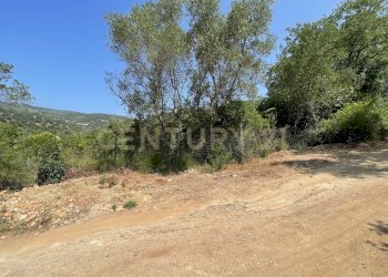 IMG_40601.jpg - Rustico località cannatelli snc, Monte Argentario - foto 4