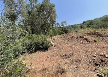 IMG_4052.jpg - Rustico località cannatelli snc, Monte Argentario - foto 5