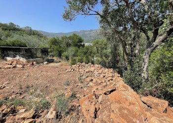 IMG_4049.jpg - Rustico località cannatelli snc, Monte Argentario - foto 6