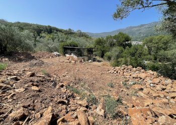 IMG_4048.jpg - Rustico località cannatelli snc, Monte Argentario - foto 7