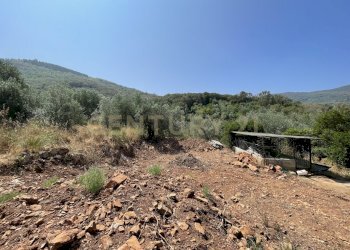 IMG_4047.jpg - Rustico località cannatelli snc, Monte Argentario - foto 8