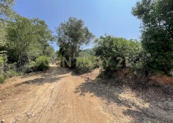 0000000000000.jpg - Rustico località cannatelli snc, Monte Argentario - foto 9