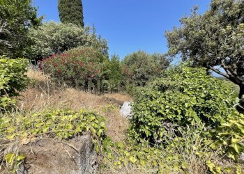 IMG_4039.jpg - Rustico località cannatelli snc, Monte Argentario - foto 10