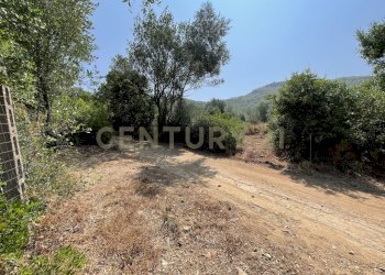 IMG_4061.jpg - Rustico località cannatelli snc, Monte Argentario - foto 11