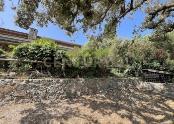 IMG_40412.jpg - Rustico località cannatelli snc, Monte Argentario - foto 12