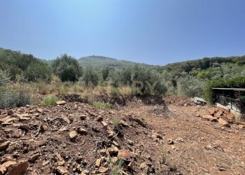 IMG_4043.jpg - Rustico località cannatelli snc, Monte Argentario - foto 14