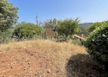 IMG_4036.jpg - Rustico località cannatelli snc, Monte Argentario - foto 17