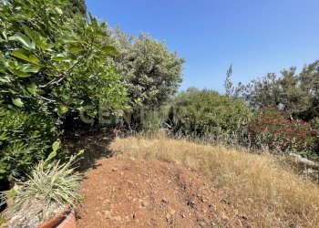 IMG_4035.jpg - Rustico località cannatelli snc, Monte Argentario - foto 19