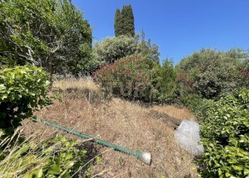 IMG_4040.jpg - Rustico località cannatelli snc, Monte Argentario - foto 20