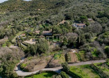 IMG_20250224_114044.jpg - Rustico Via del Campone 124, Monte Argentario - foto 1