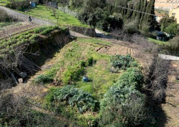 13.jpg - Rustico Via del Campone 124, Monte Argentario - foto 14