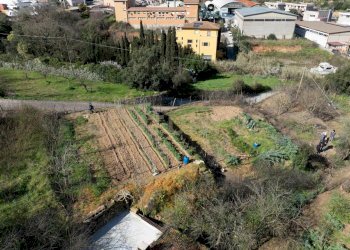 14.jpg - Rustico Via del Campone 124, Monte Argentario - foto 15