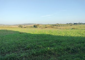 IMG20241029155321.jpg - Casa indipendente Strada Cava del Gesso 2, Capalbio - foto 4