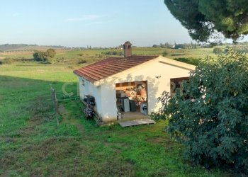 IMG20241029160203.jpg - Casa indipendente Strada Cava del Gesso 2, Capalbio - foto 5