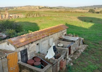 IMG20241029160207.jpg - Casa indipendente Strada Cava del Gesso 2, Capalbio - foto 6