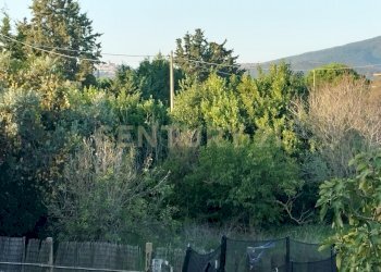 IMG20241029160057.jpg - Casa indipendente Strada Cava del Gesso 2, Capalbio - foto 7