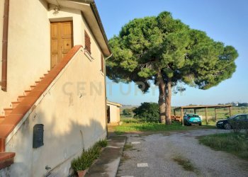 IMG20241029155656.jpg - Casa indipendente Strada Cava del Gesso 2, Capalbio - foto 13