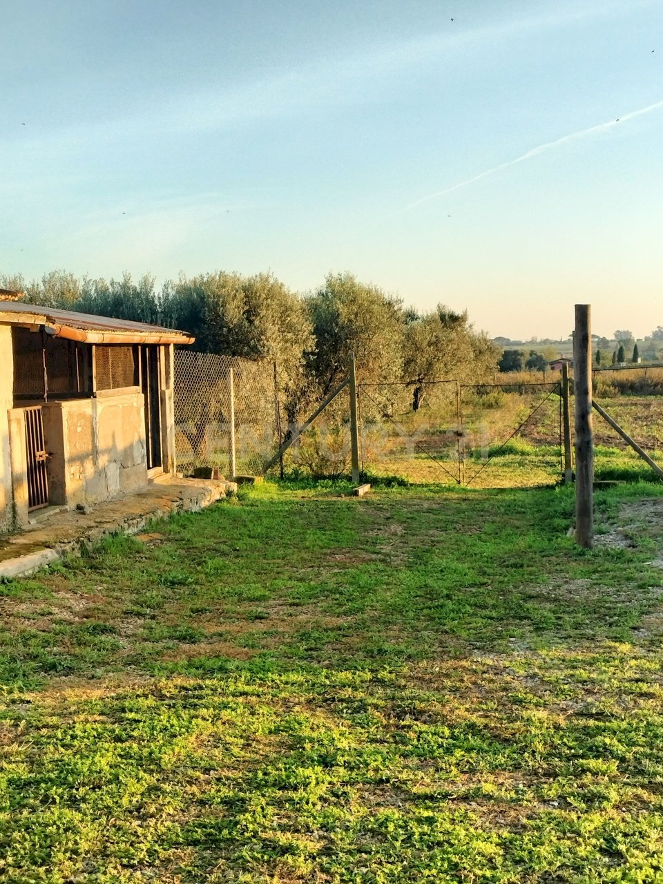 IMG20241101163806.jpg - Casale Strada Pedemontana, Capalbio - foto 2