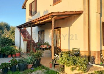 IMG20241101163728.jpg - Casale Strada Pedemontana, Capalbio - foto 1