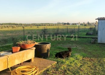 IMG20241101163529.jpg - Casale Strada Pedemontana, Capalbio - foto 5