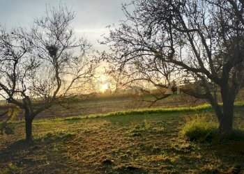 IMG20241101164013.jpg - Casale Strada Pedemontana, Capalbio - foto 7