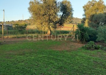 IMG20241101163415.jpg - Casale Strada Pedemontana, Capalbio - foto 8