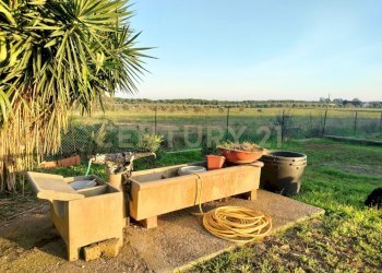 IMG20241101163517.jpg - Casale Strada Pedemontana, Capalbio - foto 9