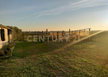 IMG20241101163645.jpg - Casale Strada Pedemontana, Capalbio - foto 10