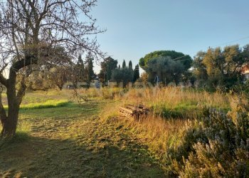 IMG20241101164005(1).jpg - Casale Strada Pedemontana, Capalbio - foto 11