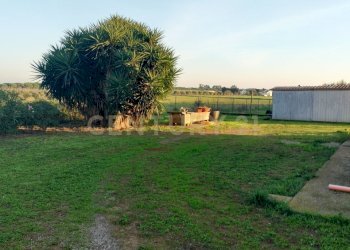 IMG20241101163355.jpg - Casale Strada Pedemontana, Capalbio - foto 13