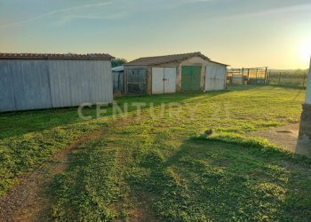 IMG20241101163503.jpg - Casale Strada Pedemontana, Capalbio - foto 14