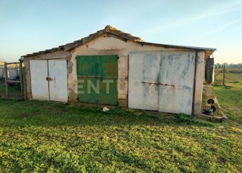 IMG20241101163634.jpg - Casale Strada Pedemontana, Capalbio - foto 15