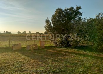 IMG20241101163652.jpg - Casale Strada Pedemontana, Capalbio - foto 16