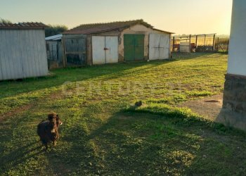 IMG20241101163453.jpg - Casale Strada Pedemontana, Capalbio - foto 17