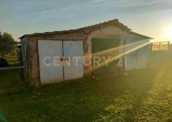 IMG20241101163623.jpg - Casale Strada Pedemontana, Capalbio - foto 18