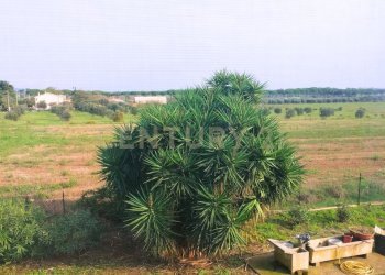 DRIVE.jpg - Casale Strada Pedemontana, Capalbio - foto 19