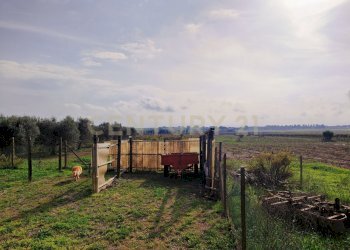 IMG20241026144010.jpg - Casale Strada Pedemontana, Capalbio - foto 22