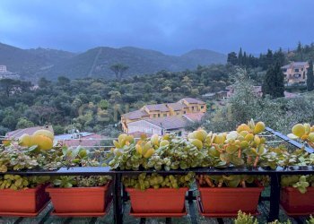 Trilocale via dei gerani, Monte Argentario - foto 27