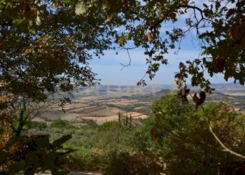 PHOTO-2025-09-29-11-13-44 (3).jpg - Villa Località Poggio Murella 68, Manciano - foto 18