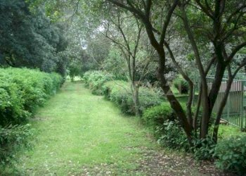 PHOTO-2025-09-29-11-13-44 (5).jpg - Villa Località Poggio Murella 68, Manciano - foto 19