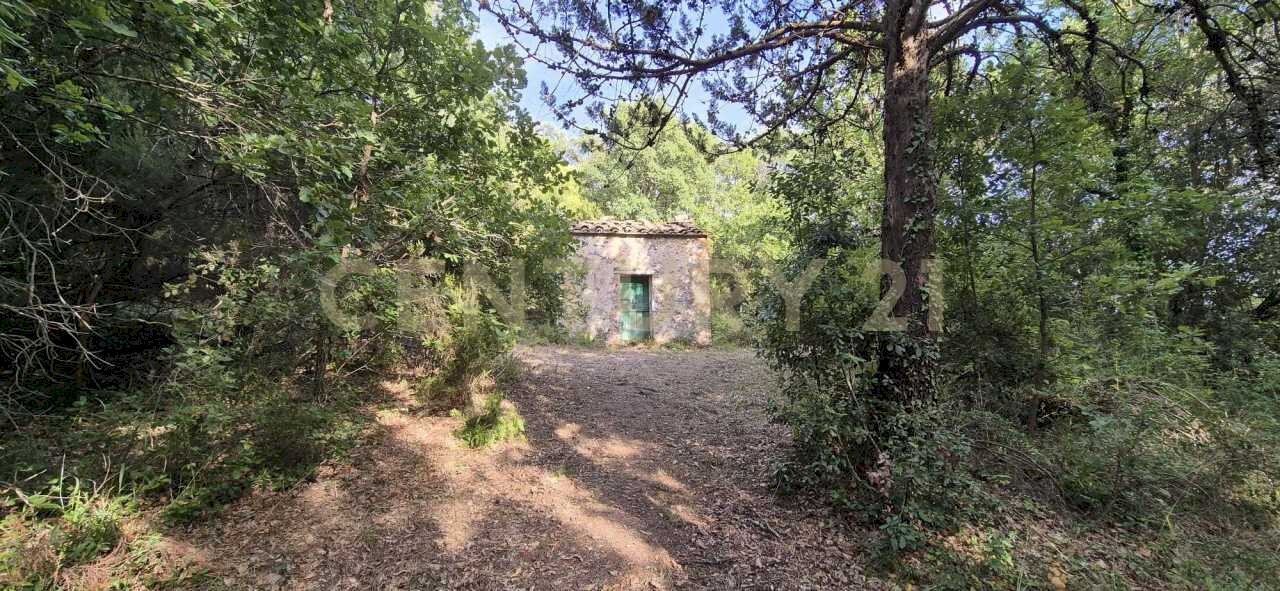 foto 4.jpeg - Rustico località vignaccia, Civitella Paganico - foto 1